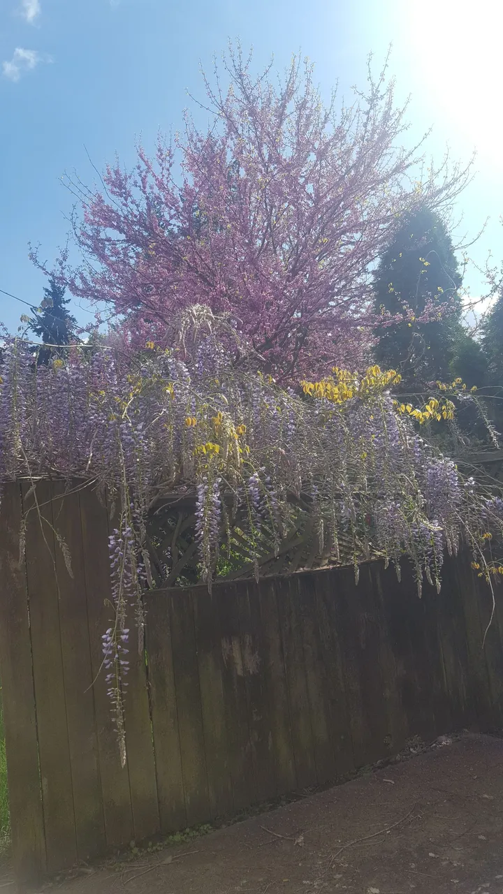 20180501_163505.jpg