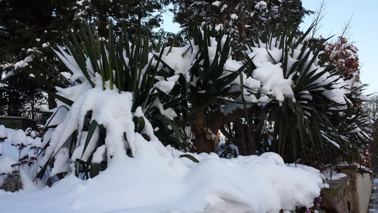 20180228_170903.jpg
