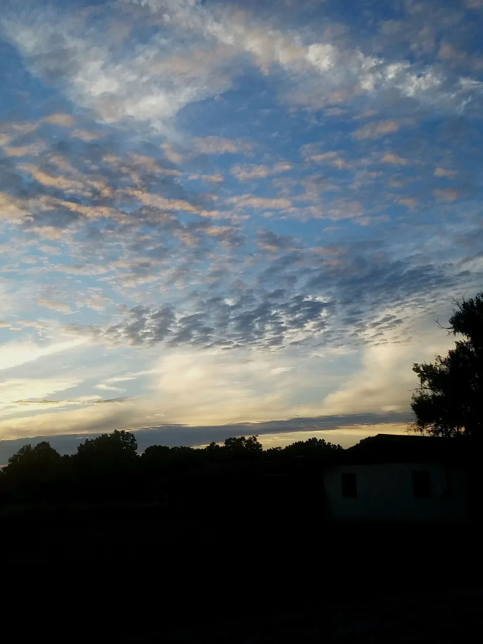 20180512_202340.jpg
