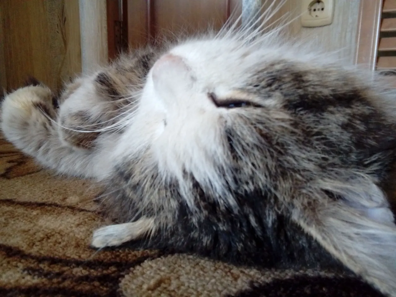 20180331_174838.jpg