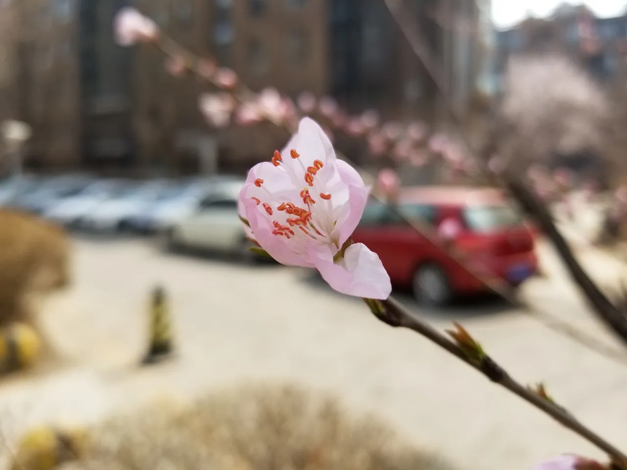 20180401_115618.jpg
