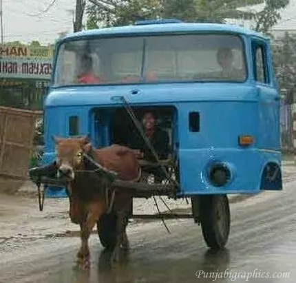 cow-pulls-truck.jpg