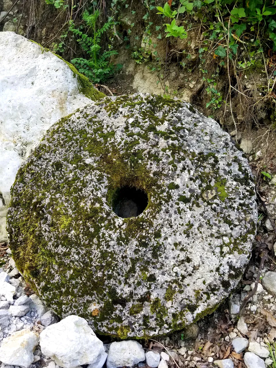 20180426_091050.jpg