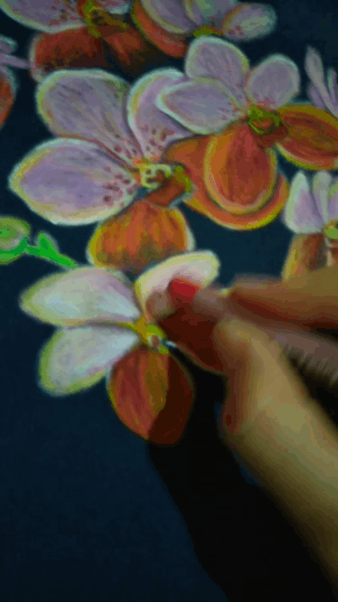 20180421_005124.gif