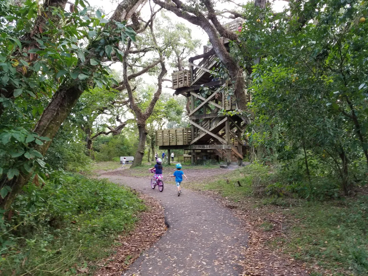 Tree_Tops_Tower.jpg