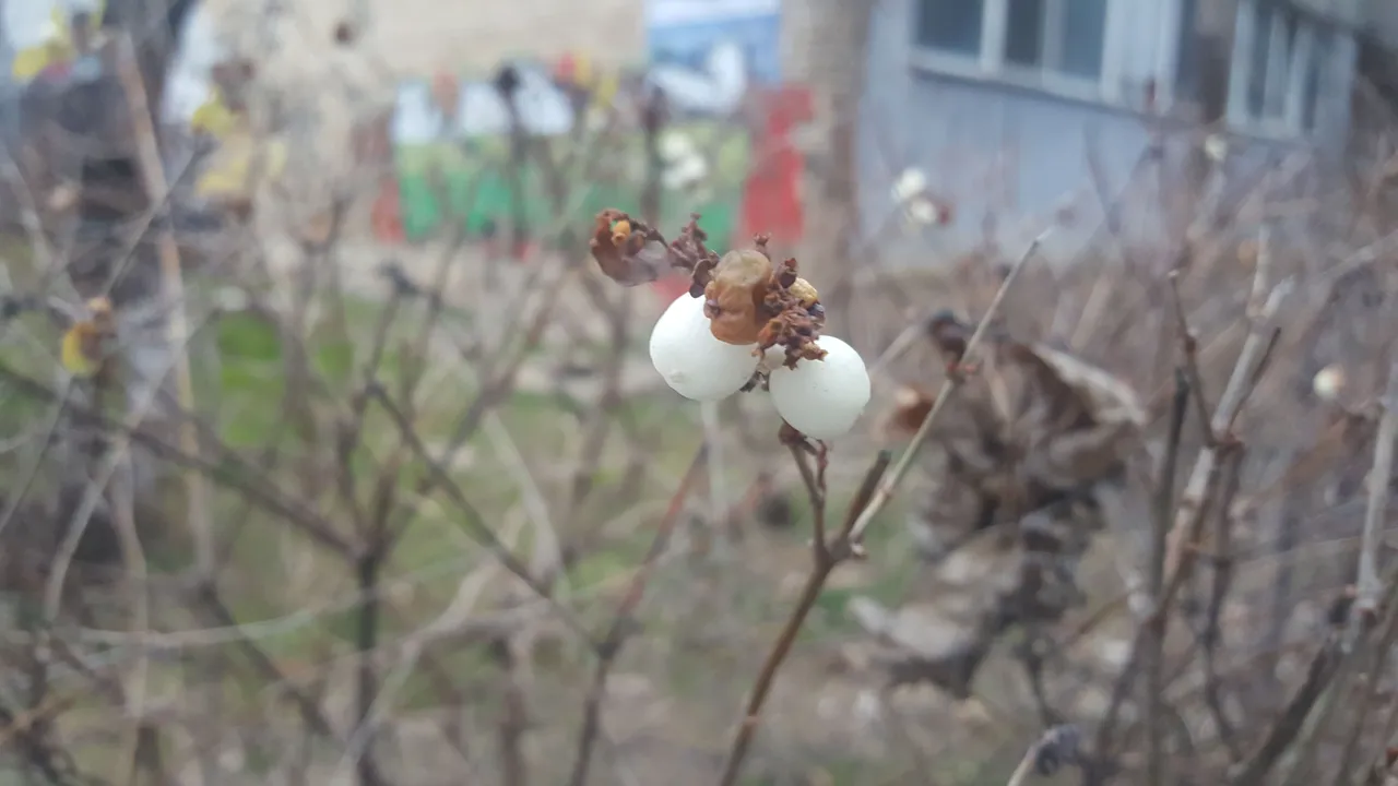 20180110_081814.jpg