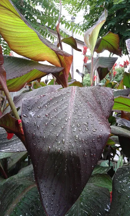 20160917_115617.jpg