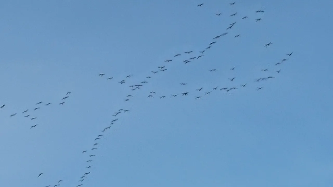 20170310_154133.jpg