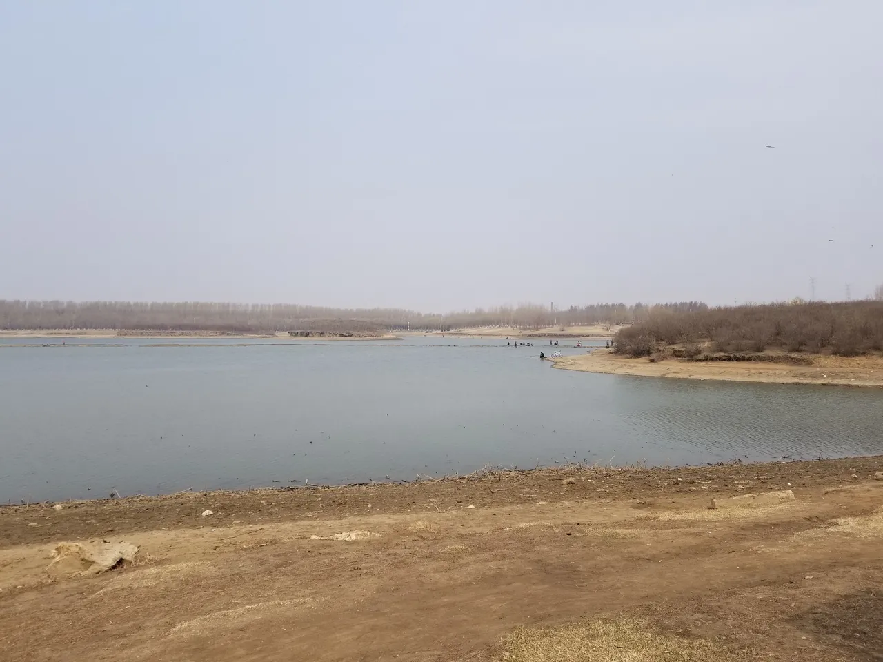 20180401_103805.jpg