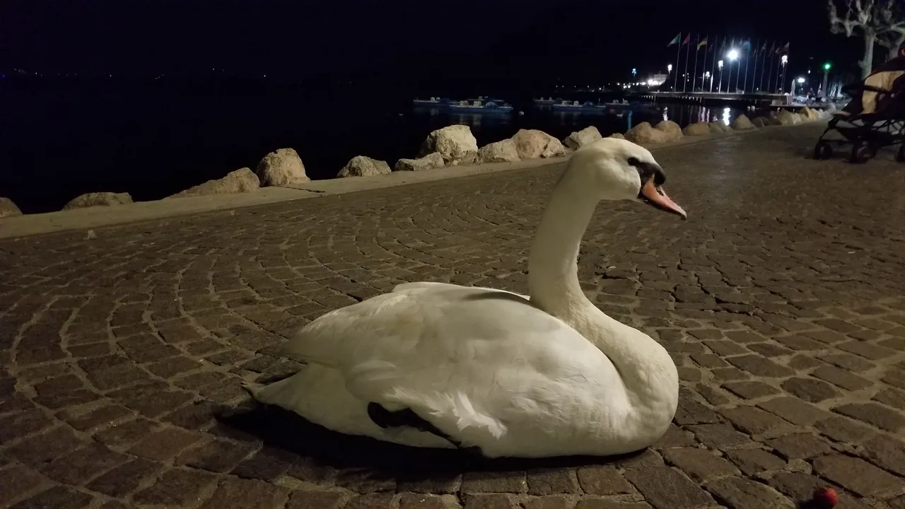 20180423_234916.jpg