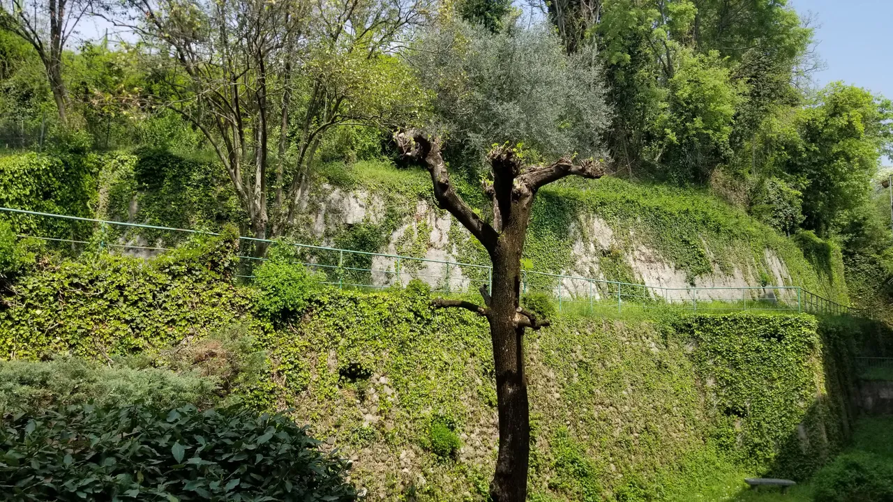 20180423_153323.jpg