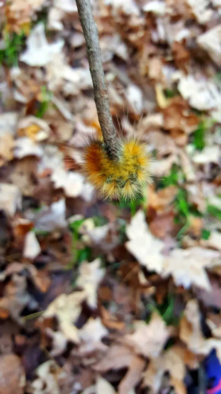 20171016_212711.jpg