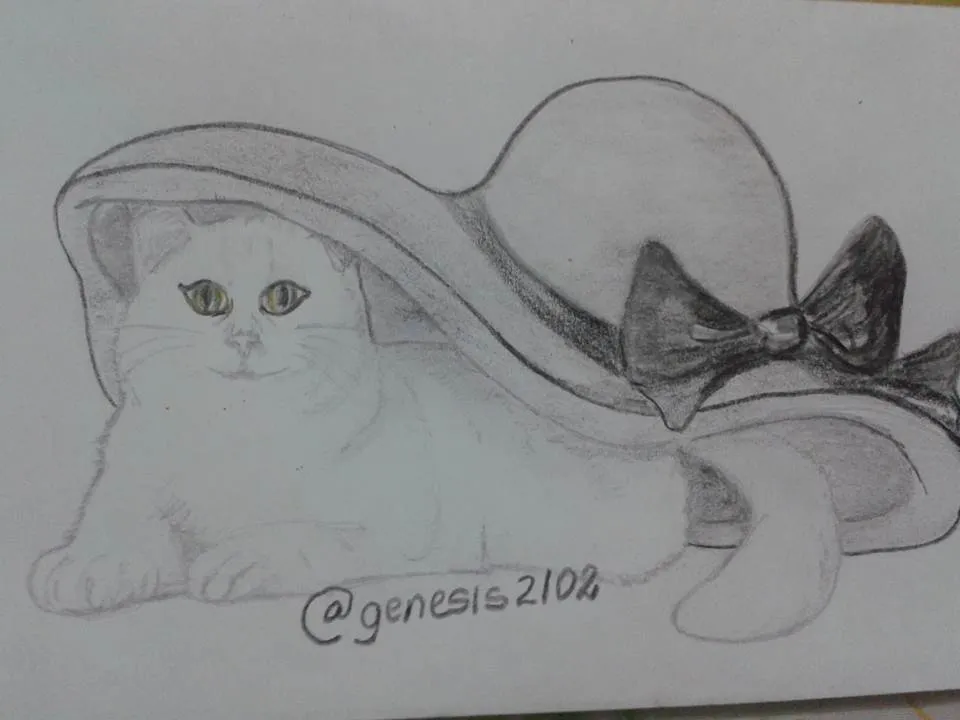 Gatoconsombrero.jpg