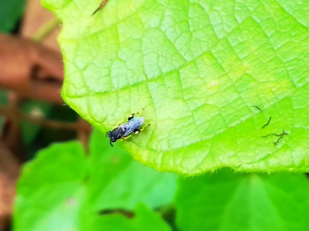 20180205_101752.jpg