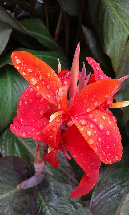 20160917_115515.jpg