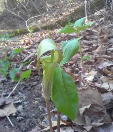 20150412_151842.jpg