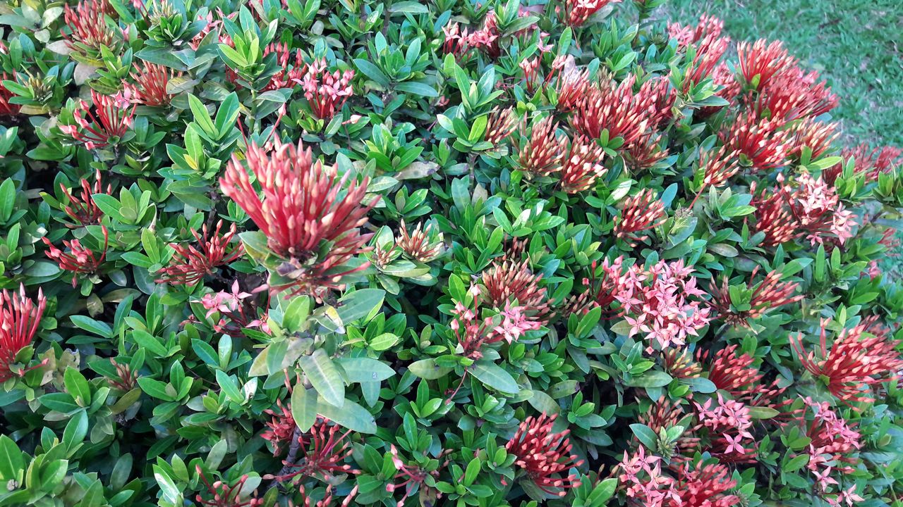 20170401_165418.jpg