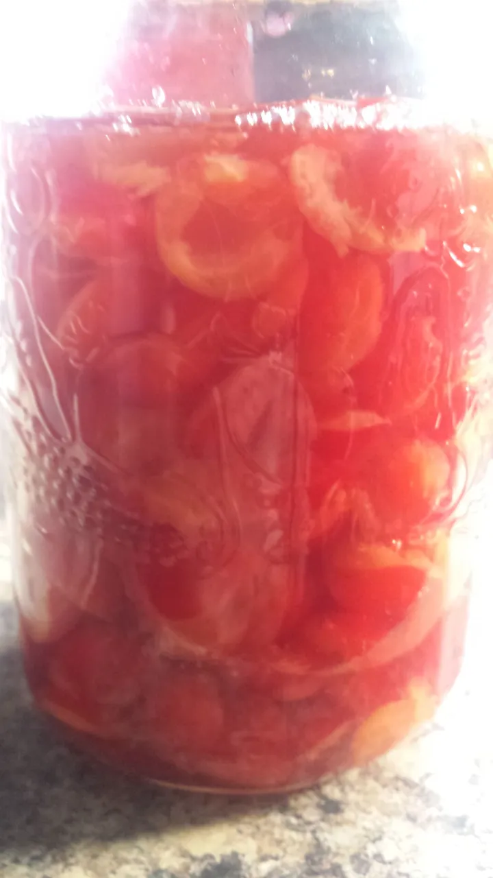 20170809_184916.jpg