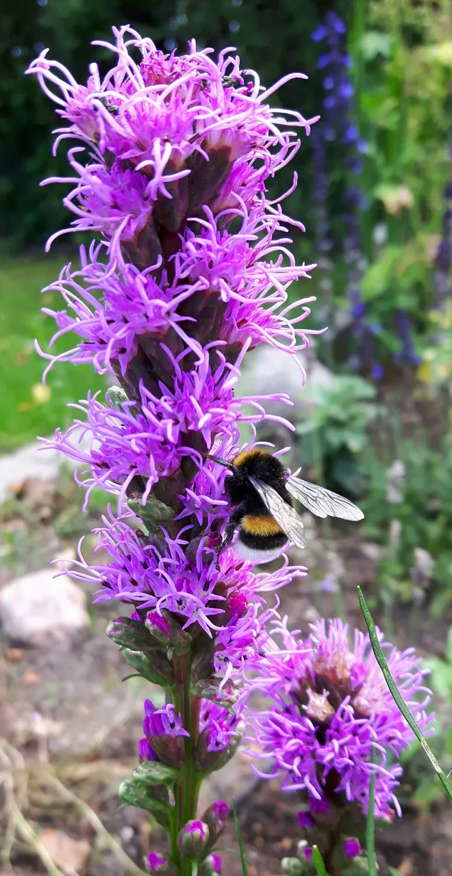 20170806_181923.jpg