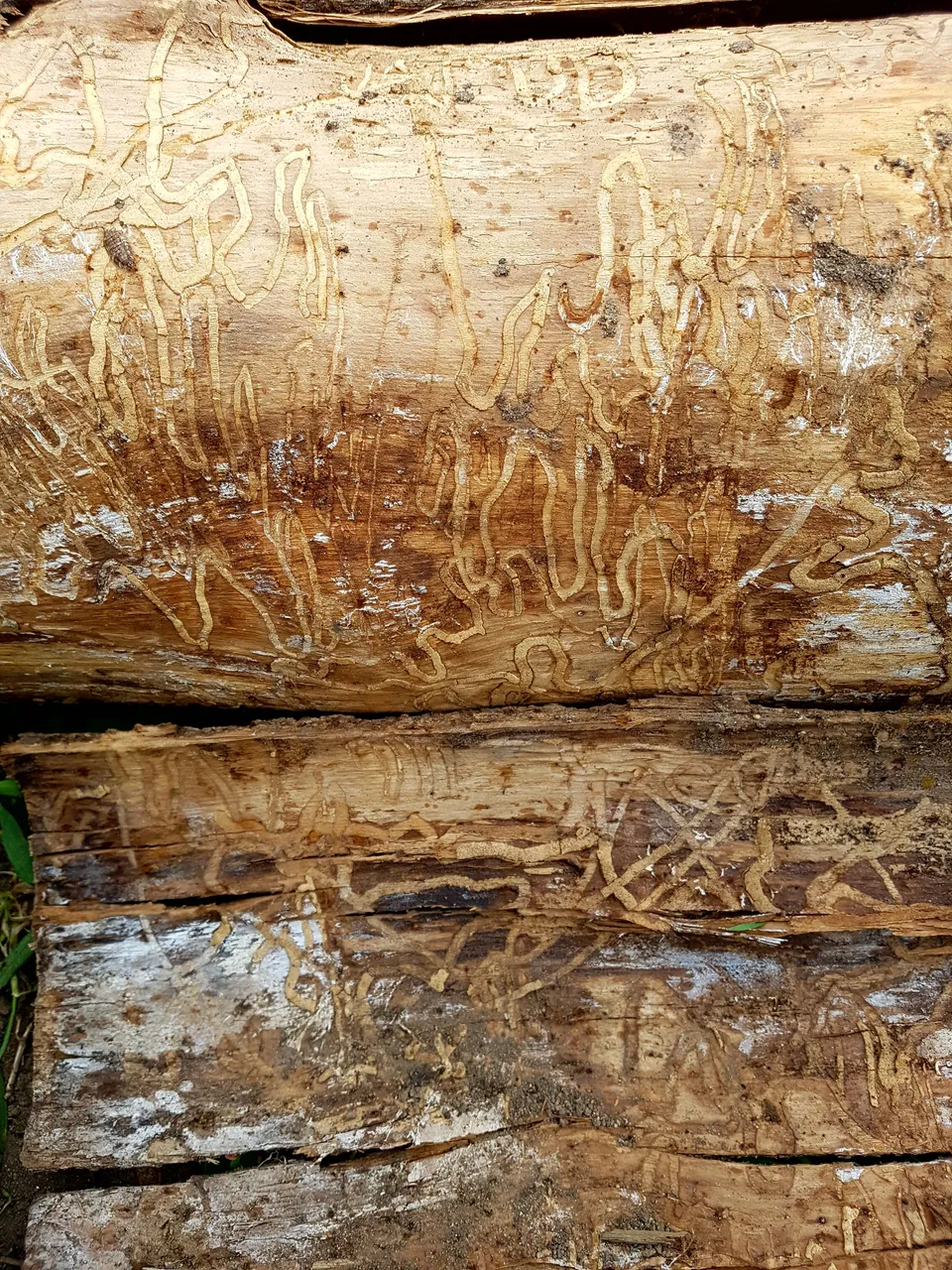 20180515_095314.jpg