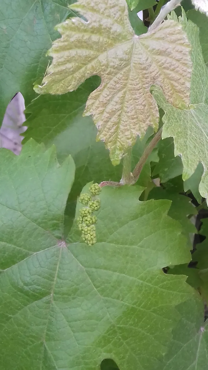 20180429_184819.jpg