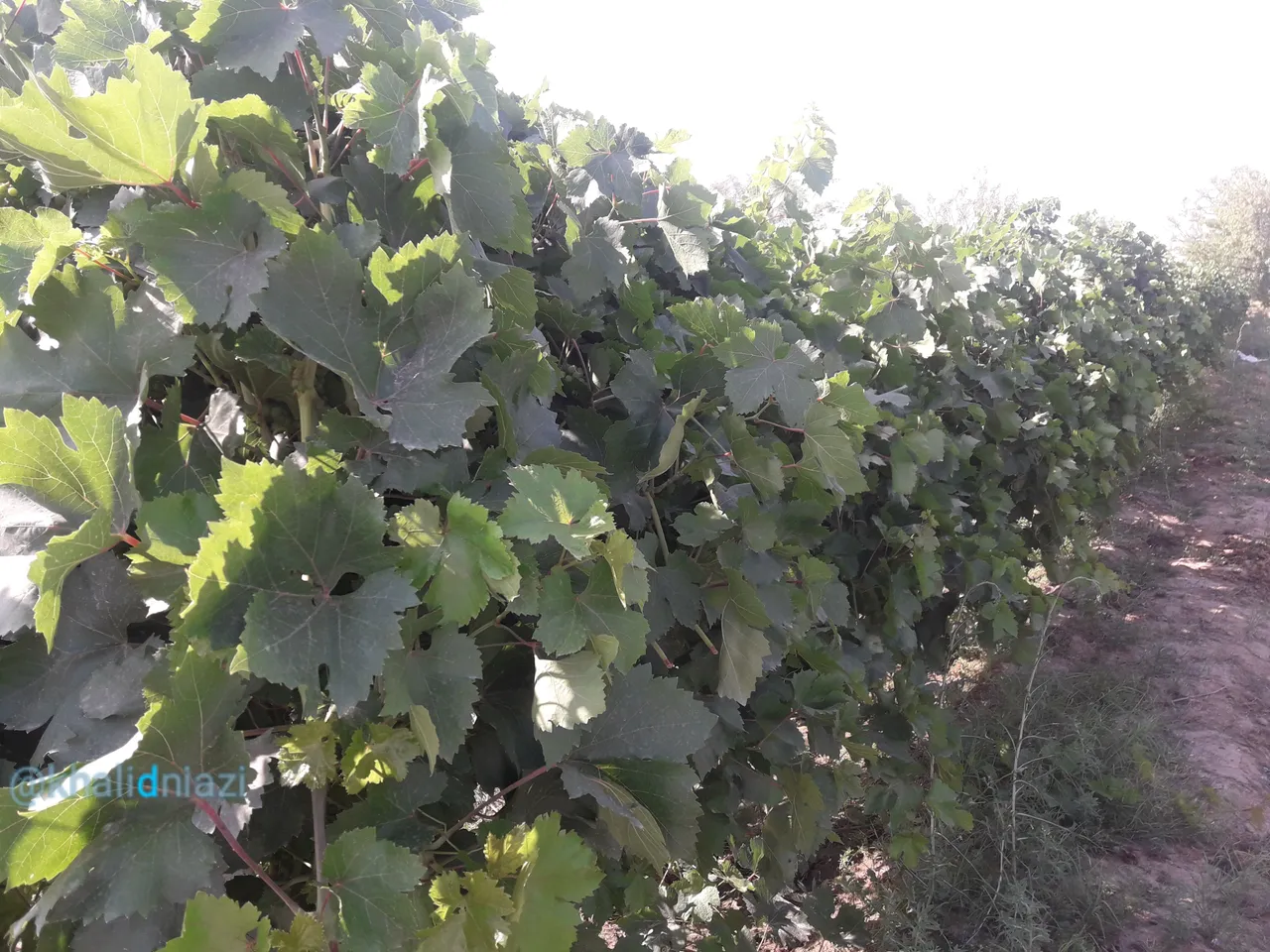 20180517_195728.jpg