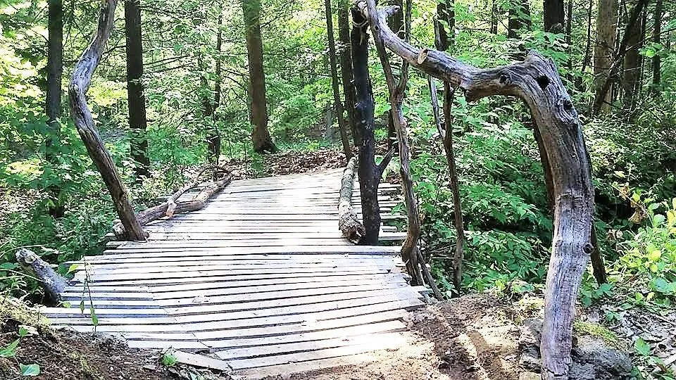 bridge 6 edited.jpg