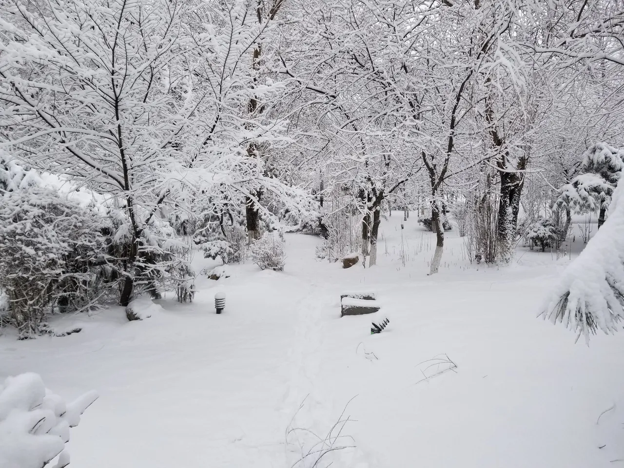20180315_081547.jpg