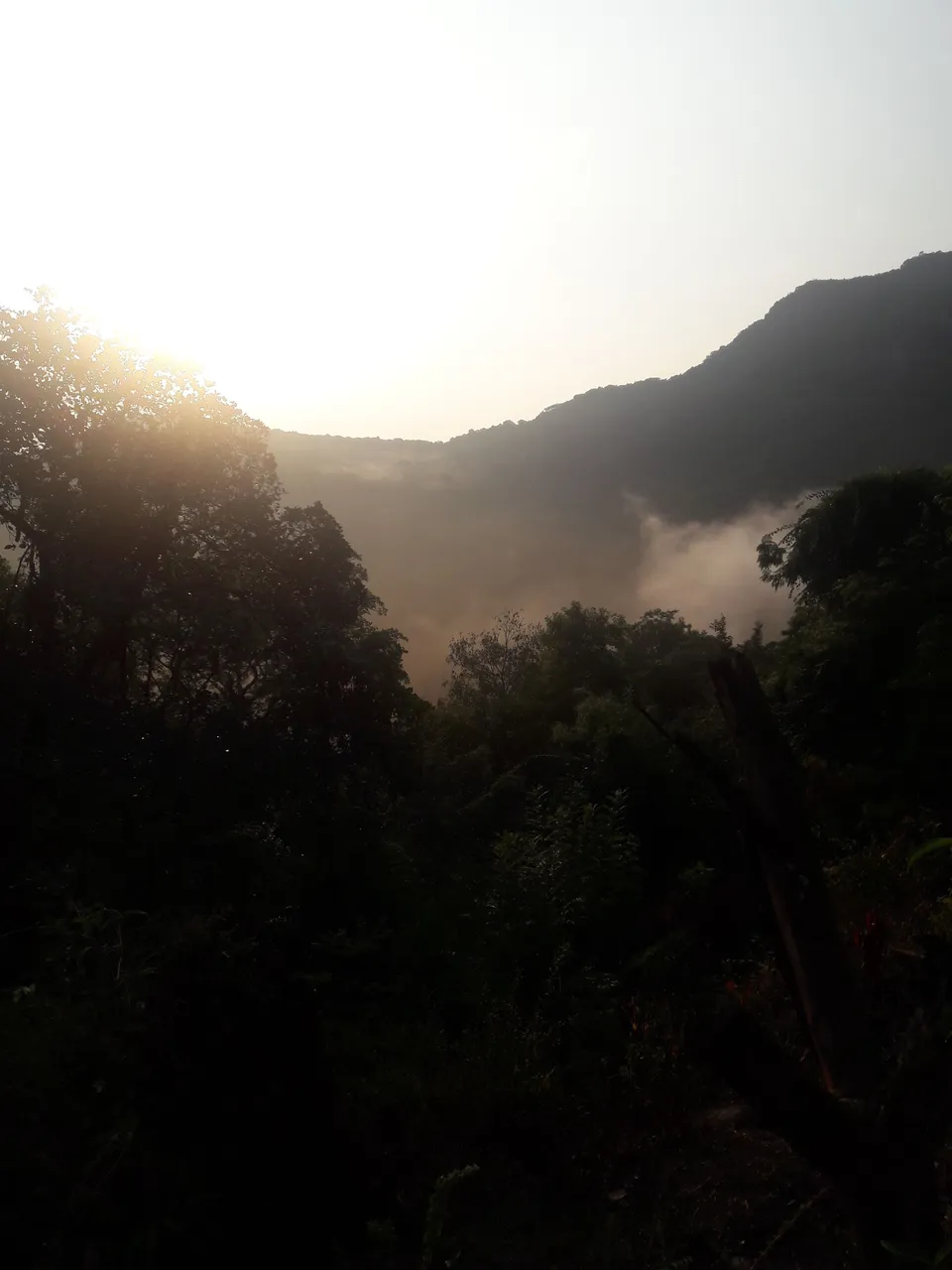 20161030_064346.jpg