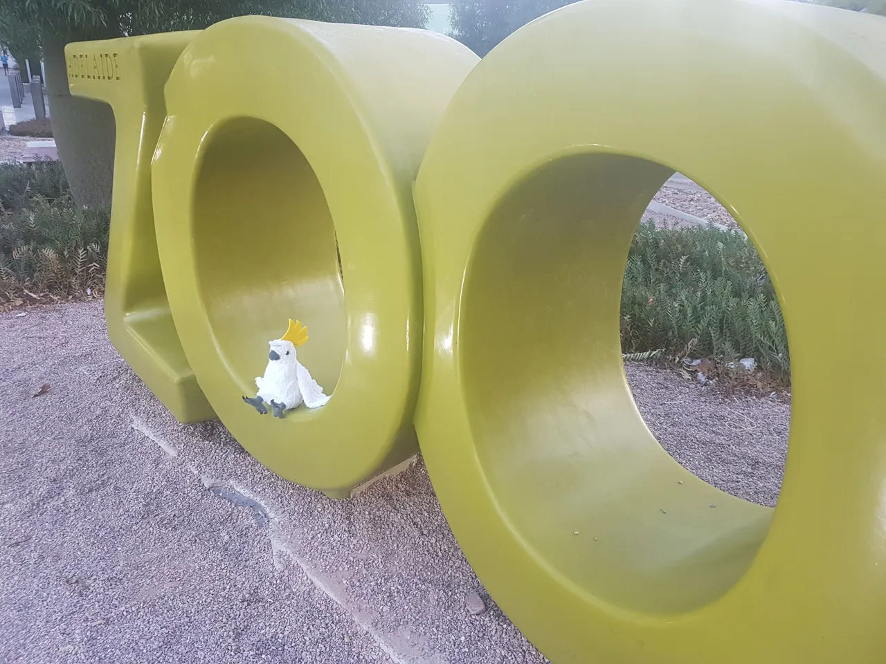 20180315_073003.jpg