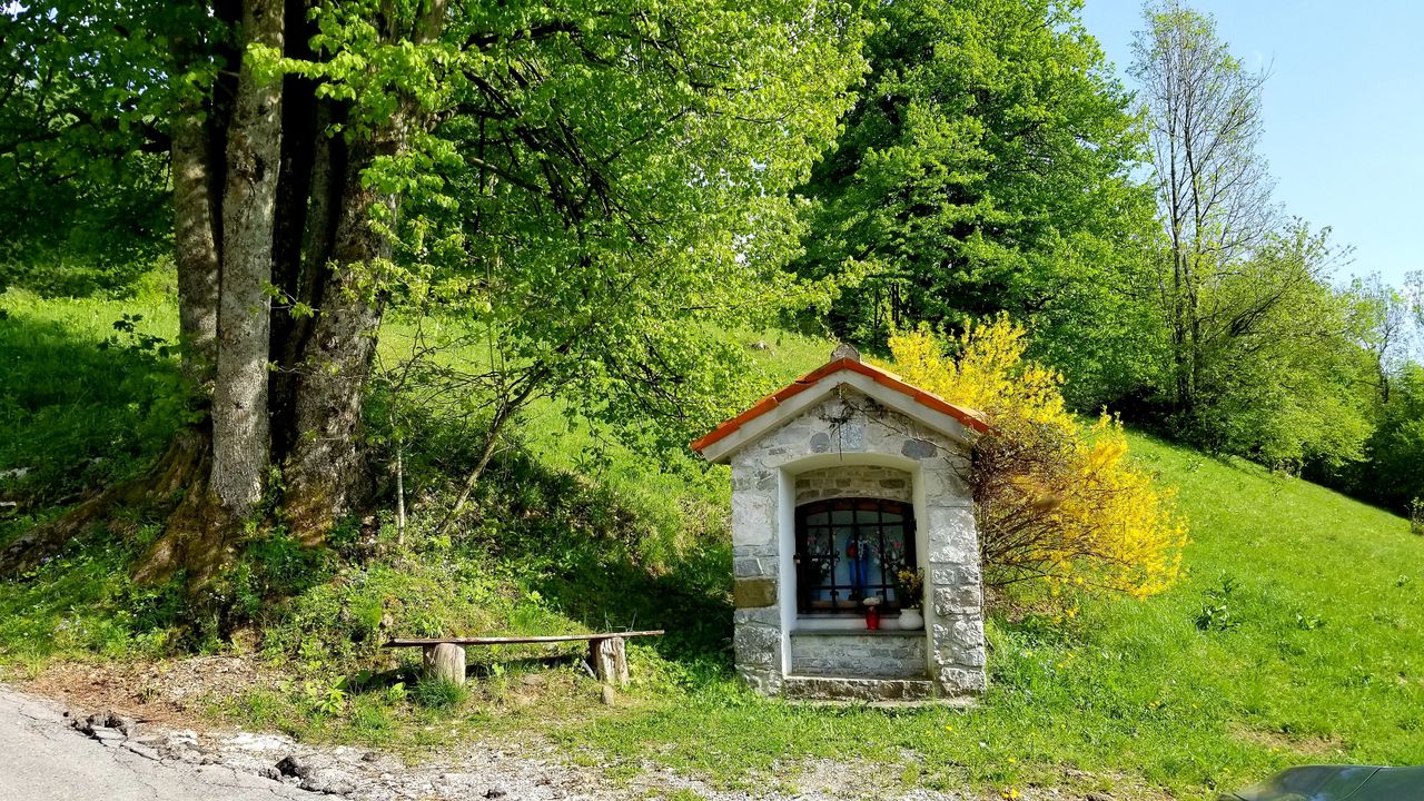 20180430_085954.jpg