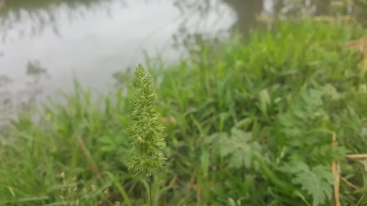 20180416_112806.jpg