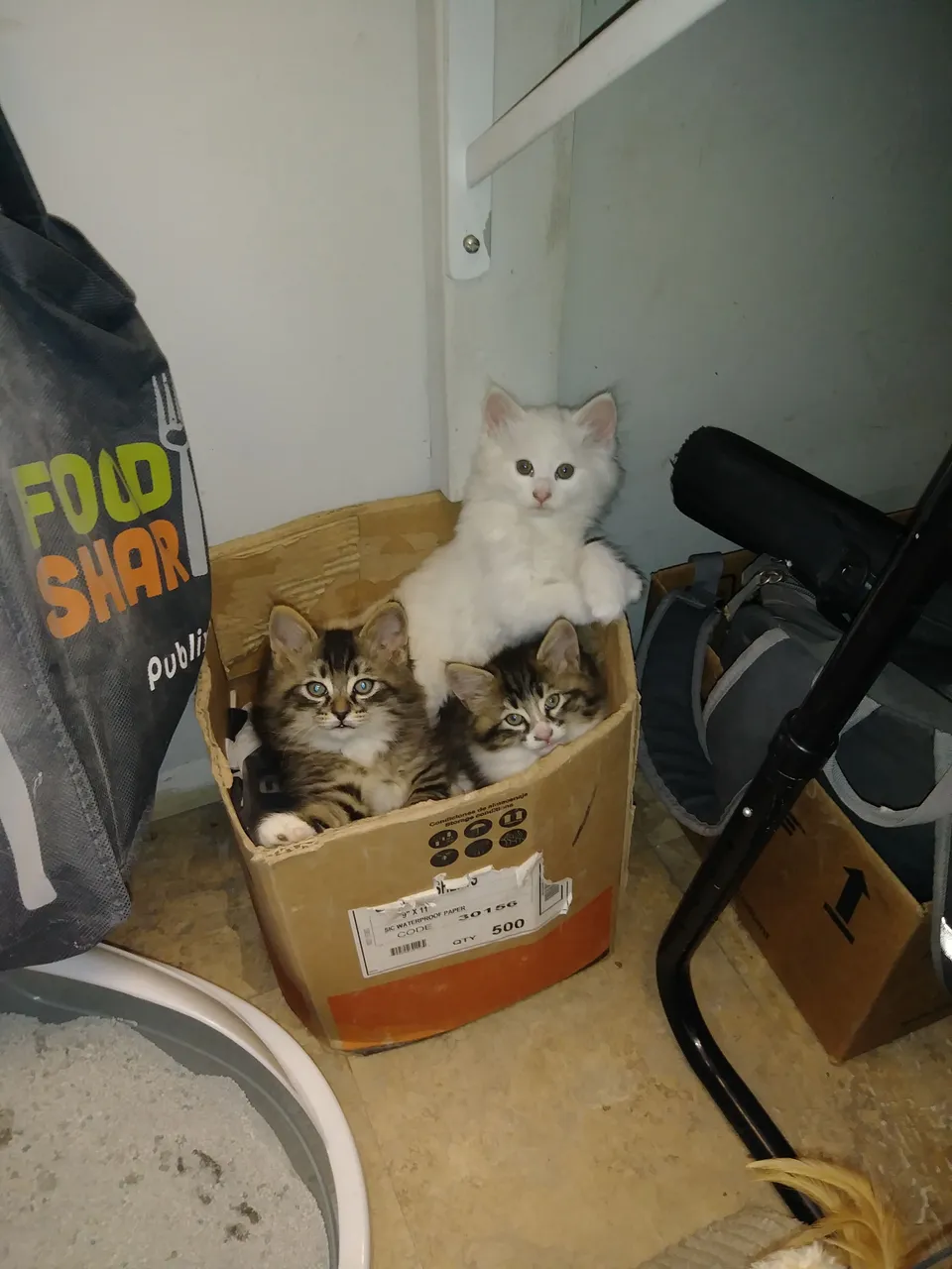 20180427_122359.jpg