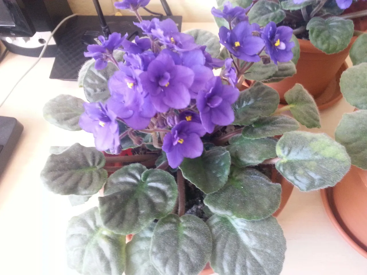 20170403_132607.jpg