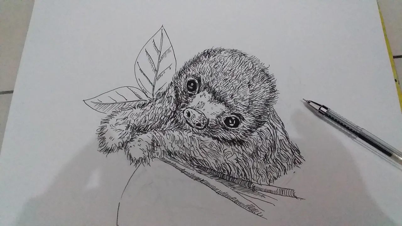 20180327_223119.jpg