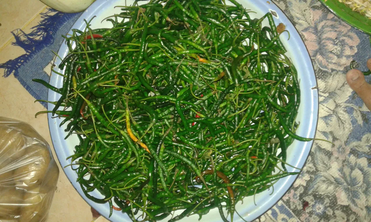 20180312_141651.jpg