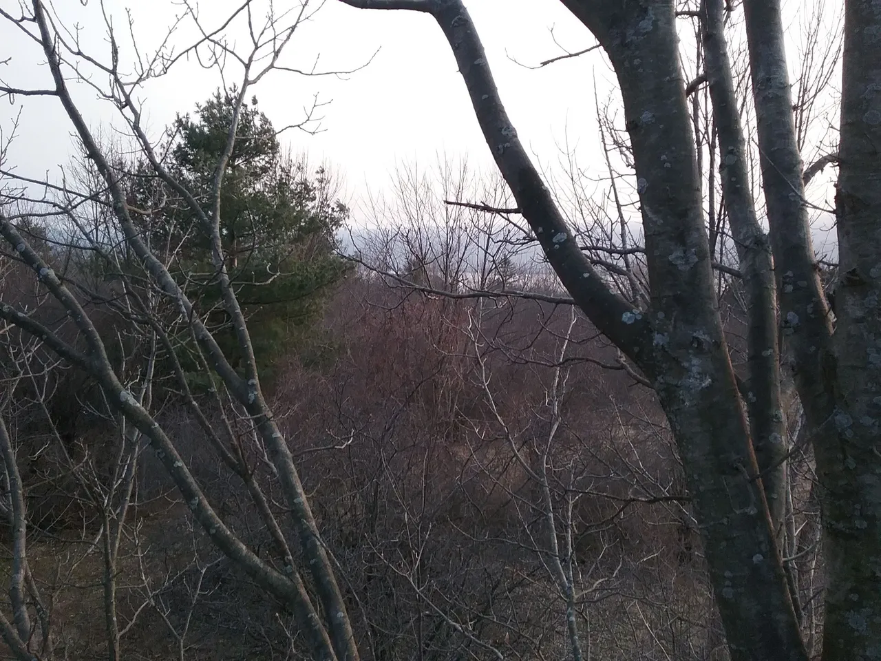 20180413_190350.jpg