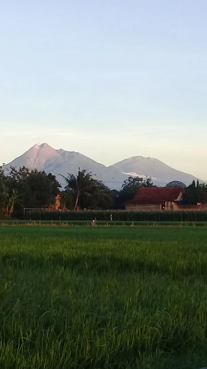 20171225_053427.jpg