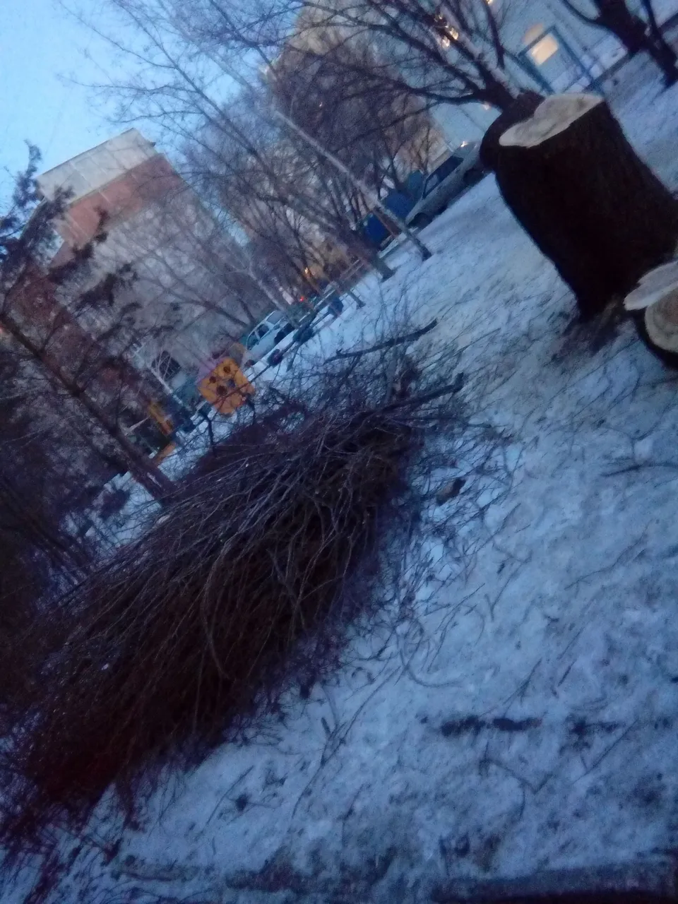20180302_183705.jpg