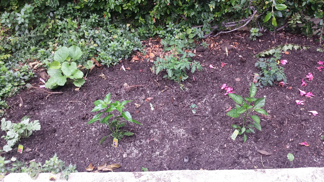 20170622_100821.jpg