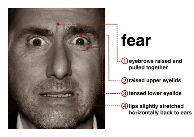 fear-face (1).jpg