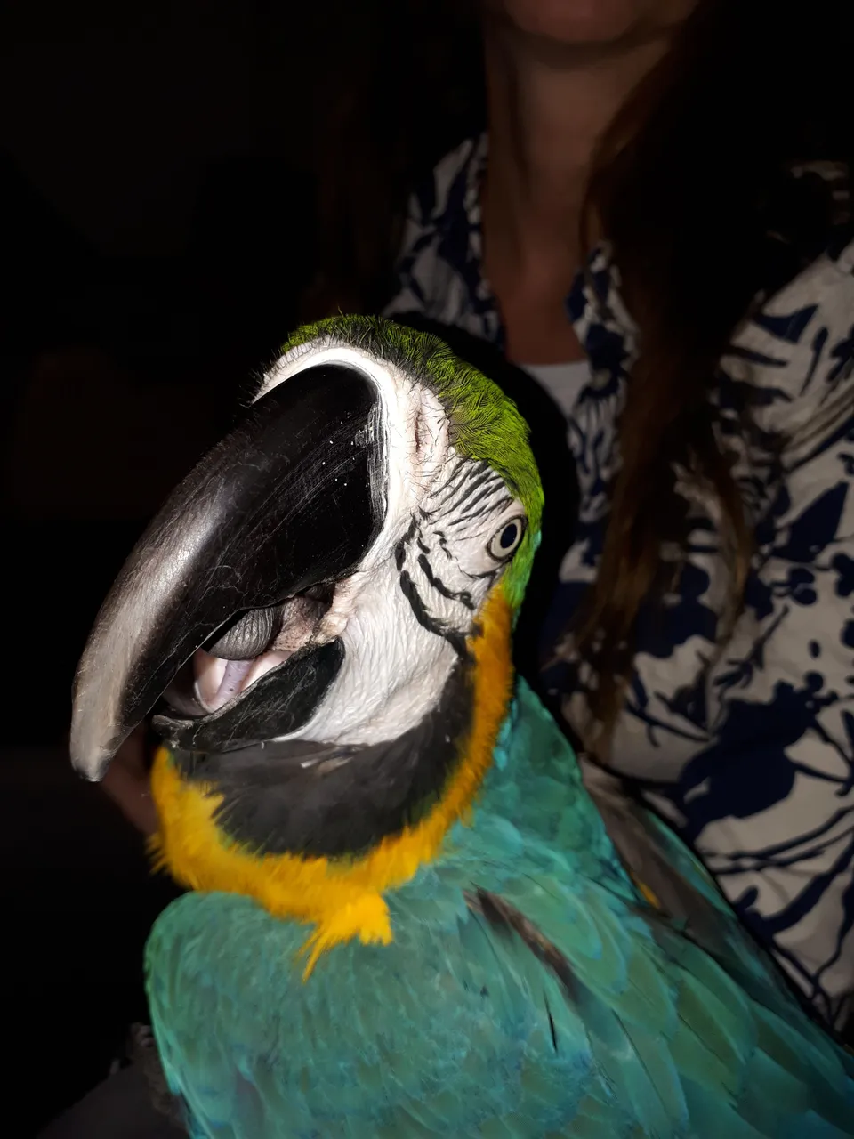 20180127_233053.jpg