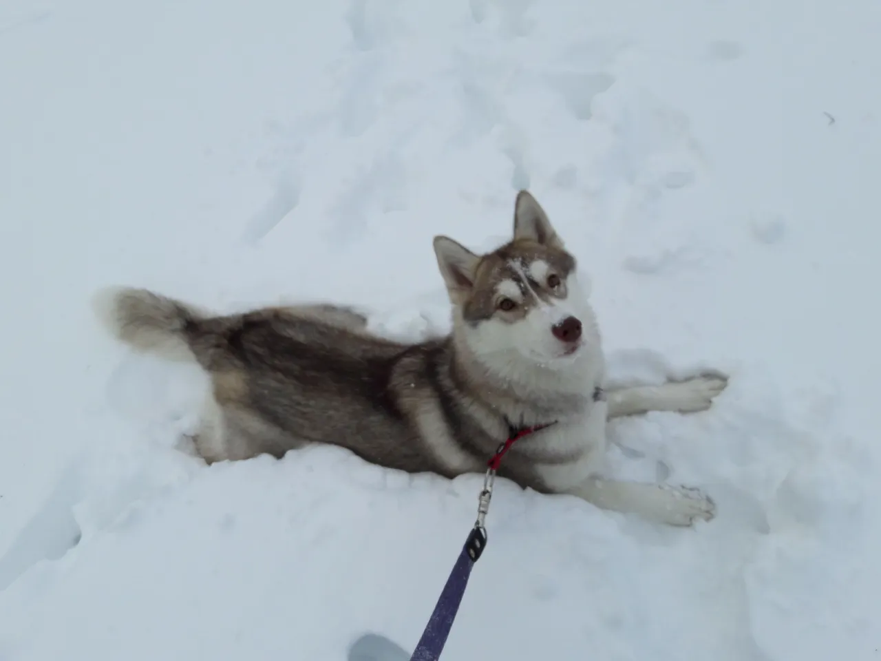20180123_150220.jpg