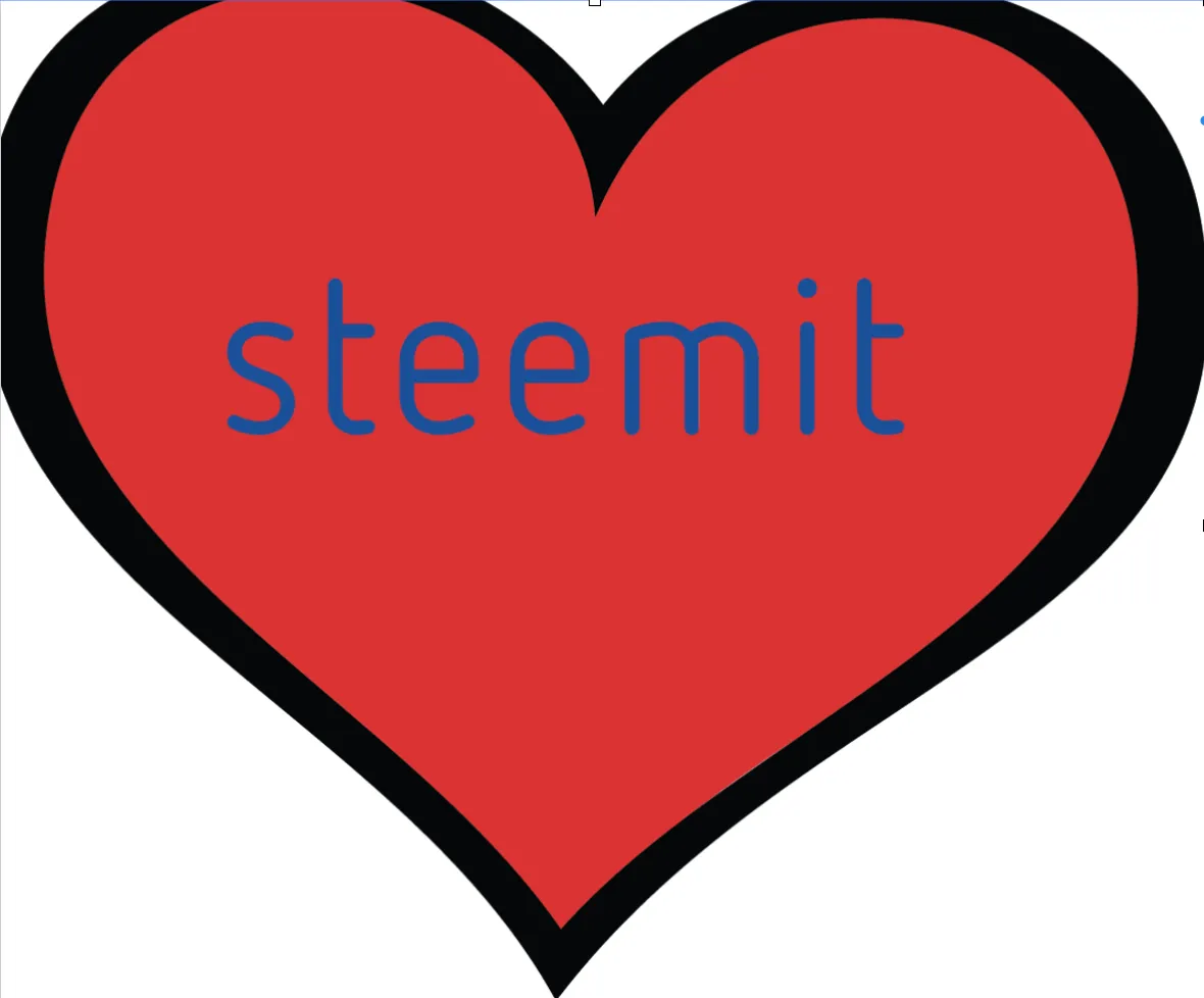 steeMit heart.png