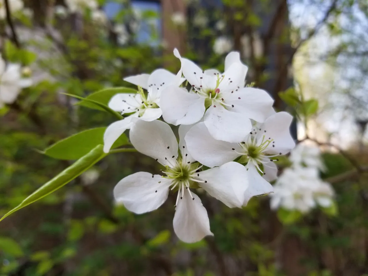 20180428_075314.jpg