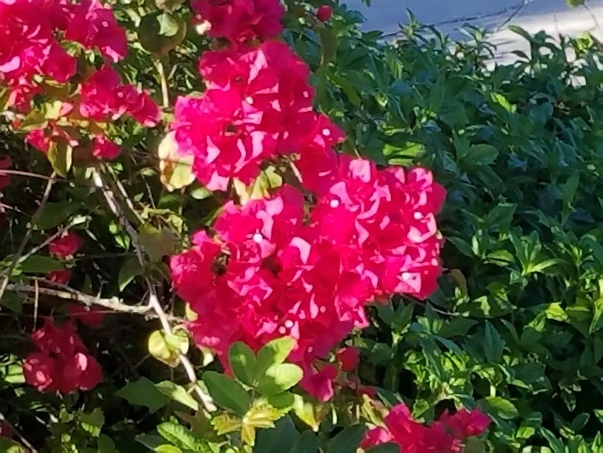 20180304_172604.jpg
