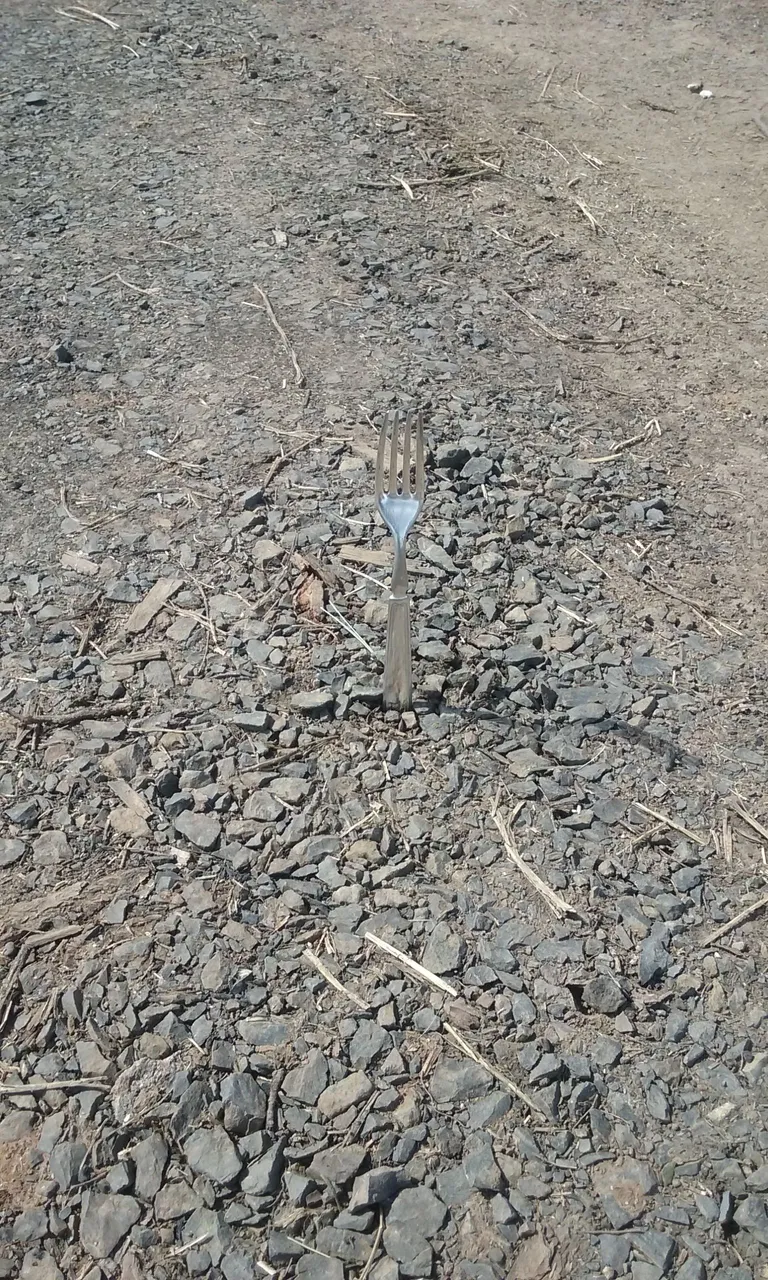 20180331_133418.jpg