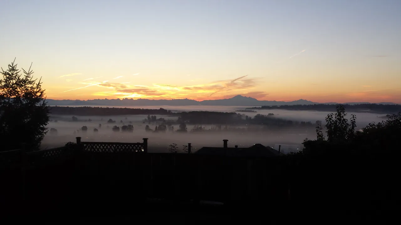 20171027_074556.jpg