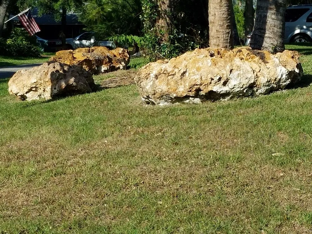 20180421_173252.jpg