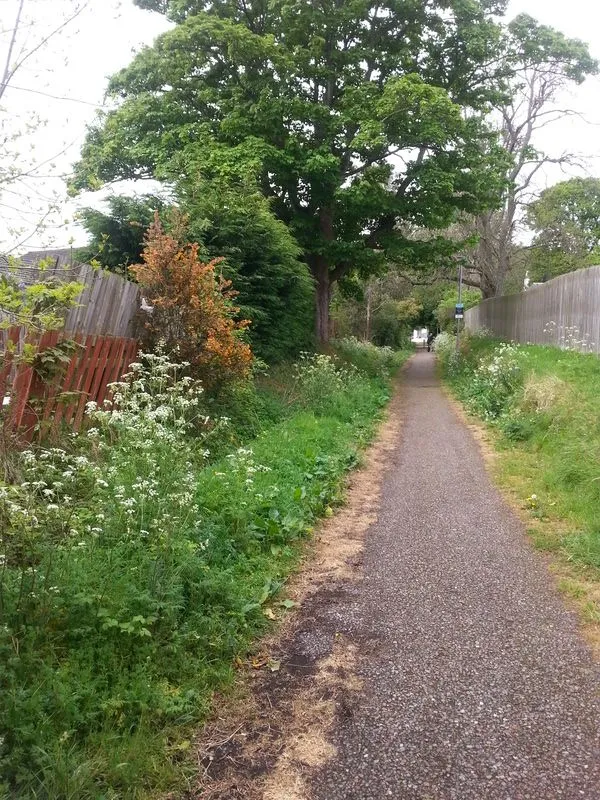 20170521_104157.jpg